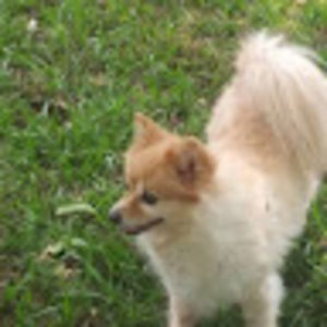 Meet your Posher, Ashlyn